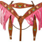 Hand Painted Butterfly Floral Pink Western Horse Tack Set