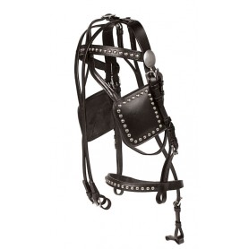 H012 Black Leather Studded Single Horse Driving Cart Harness
