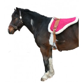 B3021 Natural Horsemanship Pink Leather Bareback Pad With Stirrups